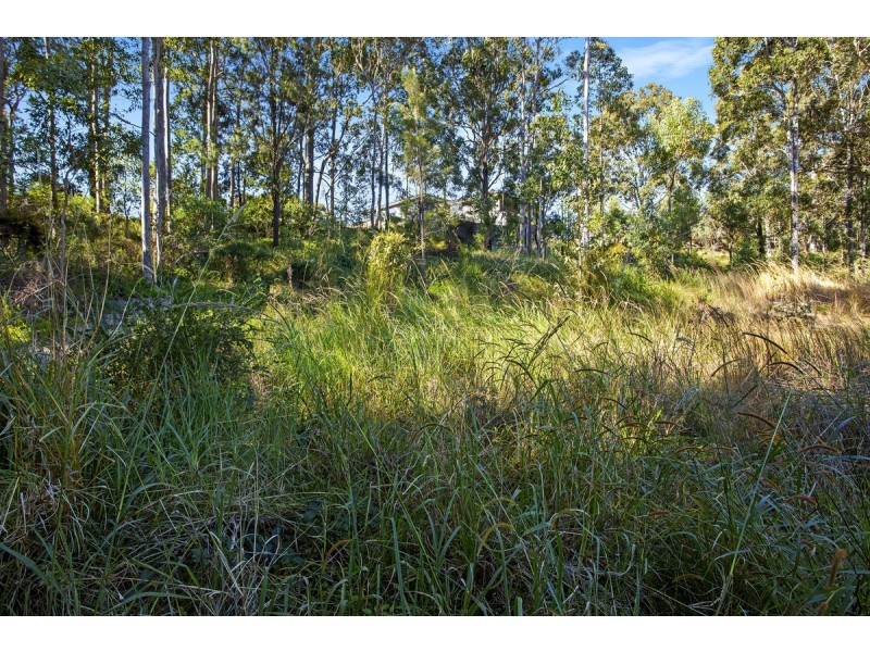 18 Zelman Close, Watanobbi NSW 2259