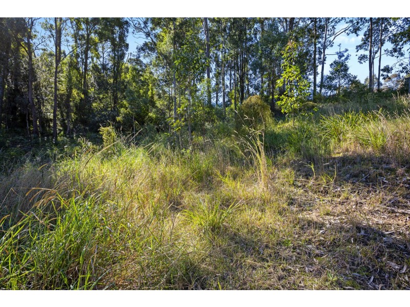 18 Zelman Close, Watanobbi NSW 2259