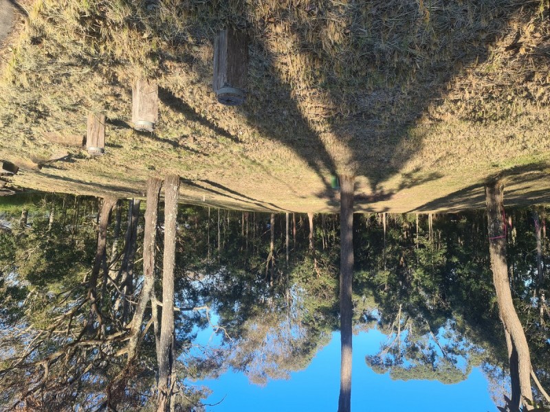 11 Lexington Avenue, Wadalba NSW 2259