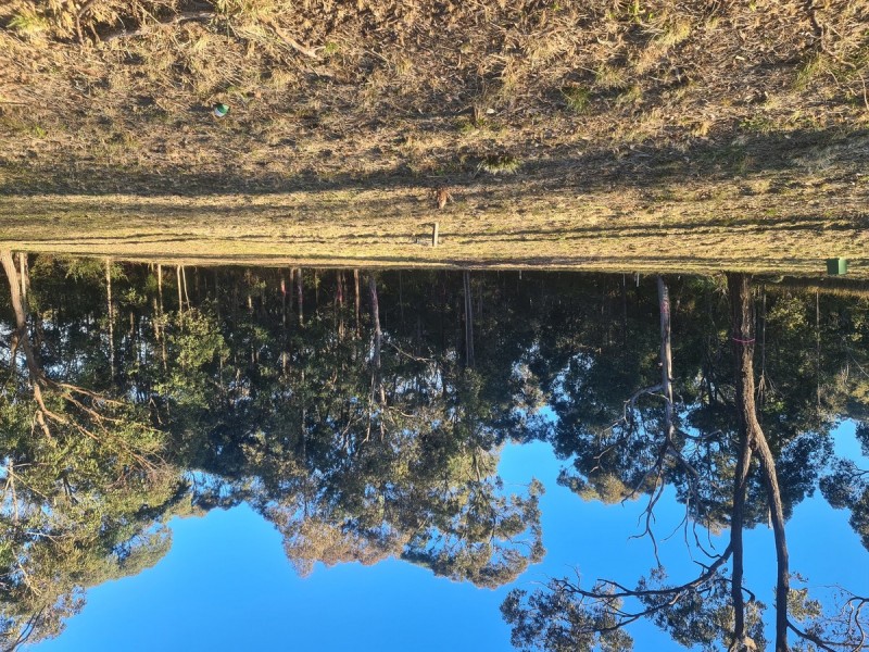 11 Lexington Avenue, Wadalba NSW 2259