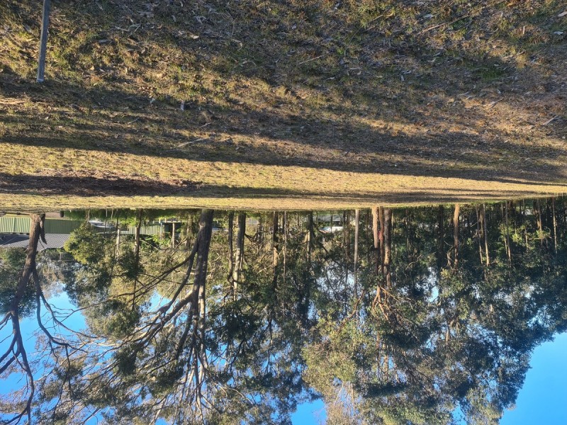 11 Lexington Avenue, Wadalba NSW 2259