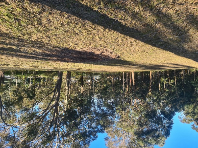 11 Lexington Avenue, Wadalba NSW 2259