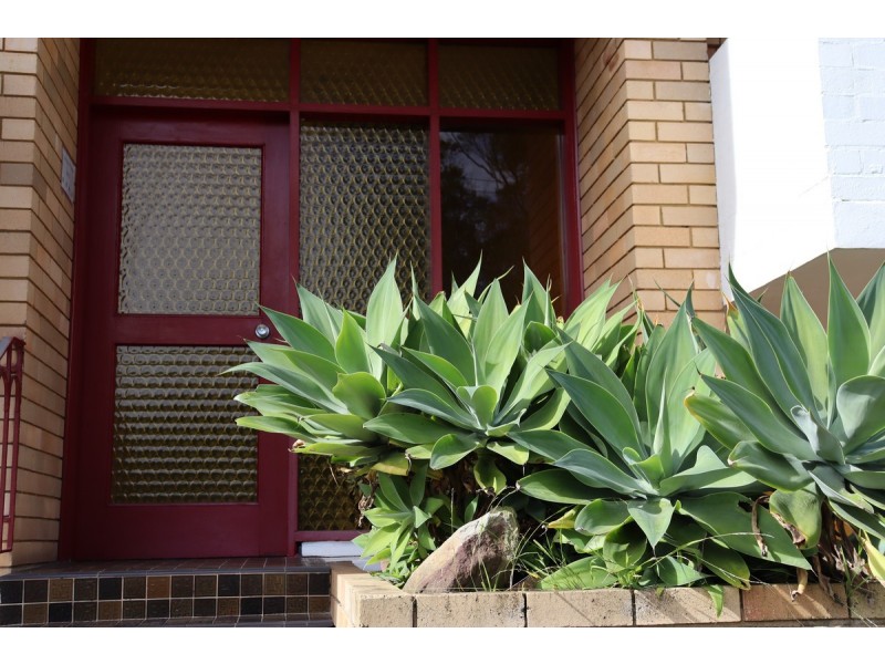 6/9 Hargrave Street, Wyong NSW 2259