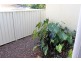 254 Warnervale Road, Hamlyn Terrace NSW 2259