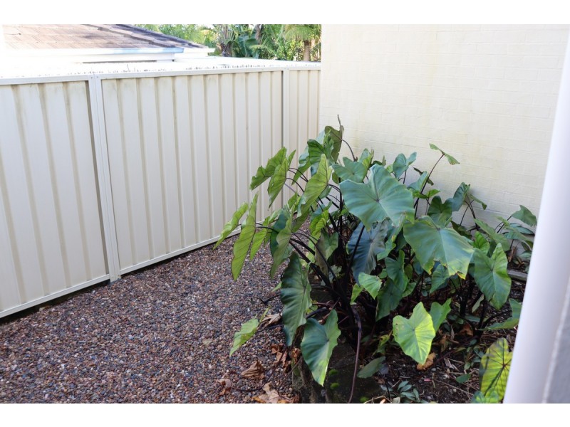 254 Warnervale Road, Hamlyn Terrace NSW 2259