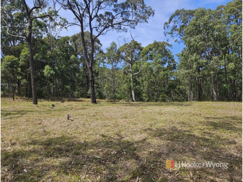 11 Lexington Avenue, Wadalba NSW 2259