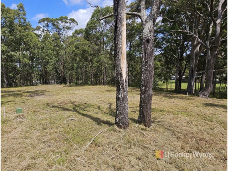 11 Lexington Avenue, Wadalba NSW 2259
