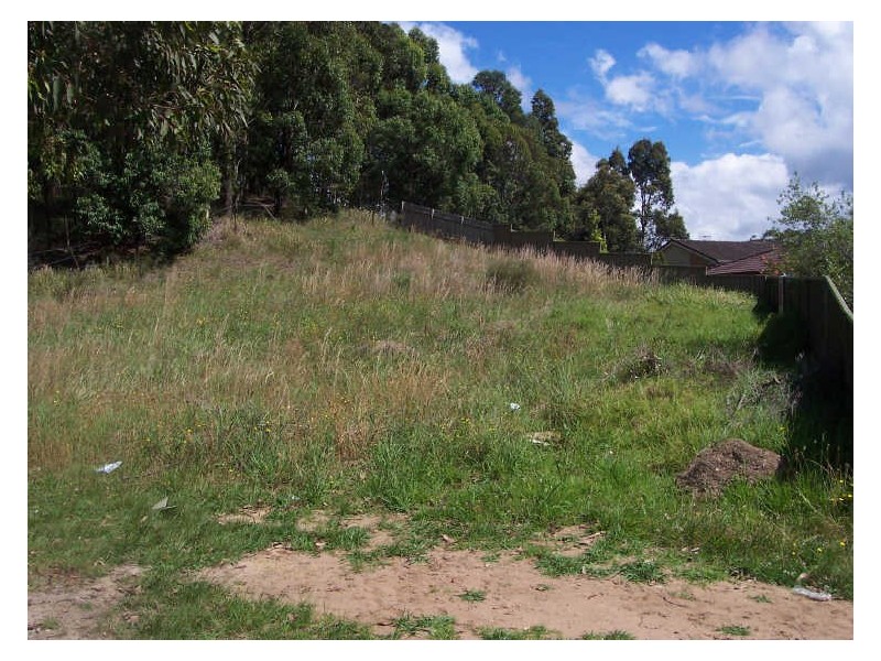 55 Guardian Road, Watanobbi NSW 2259