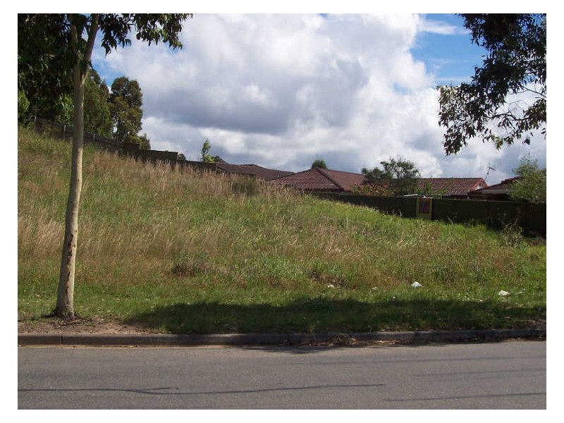 55 Guardian Road, Watanobbi NSW 2259