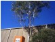 7 Hereford St, Berkeley Vale NSW 2261