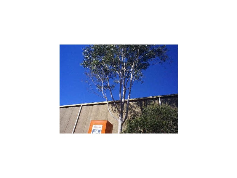 7 Hereford St, Berkeley Vale NSW 2261