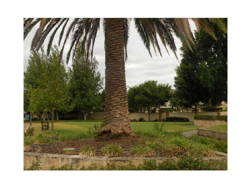 49 Greenwich Place, Mardi NSW 2259