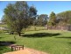 203 Pollock Avenue, Wyong NSW 2259