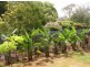 9 Sandstone Circuit, Wyong NSW 2259