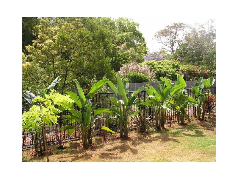 9 Sandstone Circuit, Wyong NSW 2259