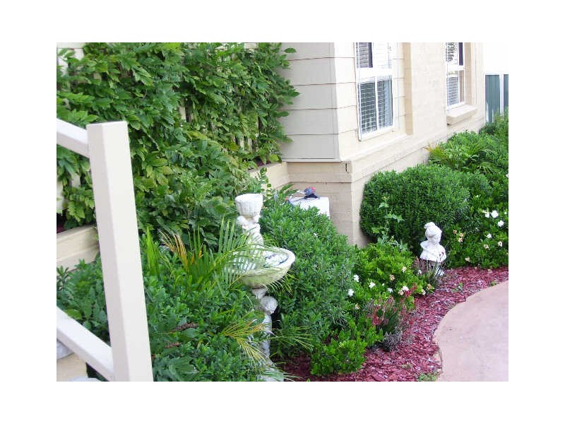 36 Wolseley Ave, Tacoma NSW 2259