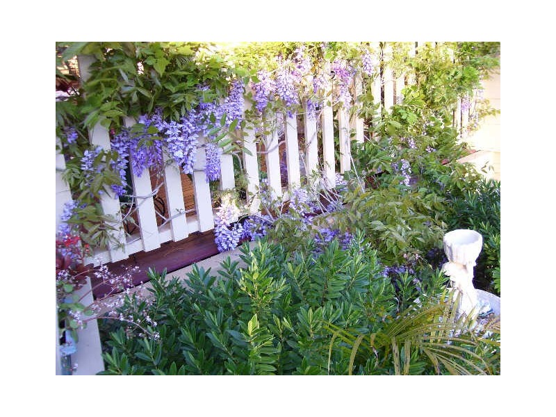 36 Wolseley Ave, Tacoma NSW 2259