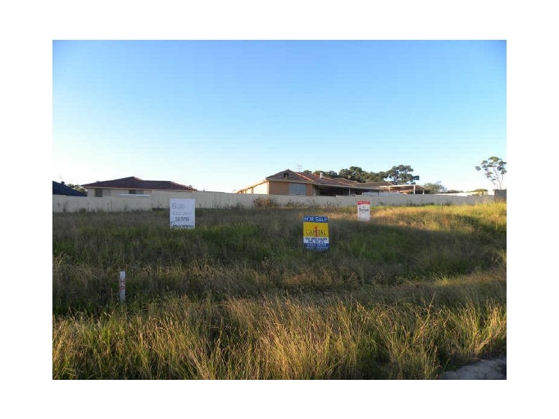31 Farrier Crescent, Hamlyn Terrace NSW 2259