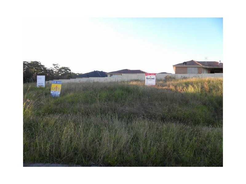 31 Farrier Crescent, Hamlyn Terrace NSW 2259
