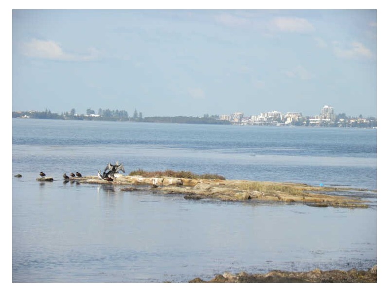 1 Saturday Street, Tuggerawong NSW 2259