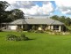 31 Burlington Avenue, Jilliby NSW 2259