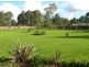 31 Burlington Avenue, Jilliby NSW 2259