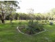 31 Burlington Avenue, Jilliby NSW 2259