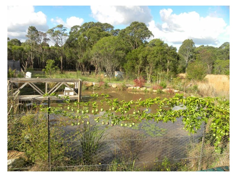 31 Burlington Avenue, Jilliby NSW 2259