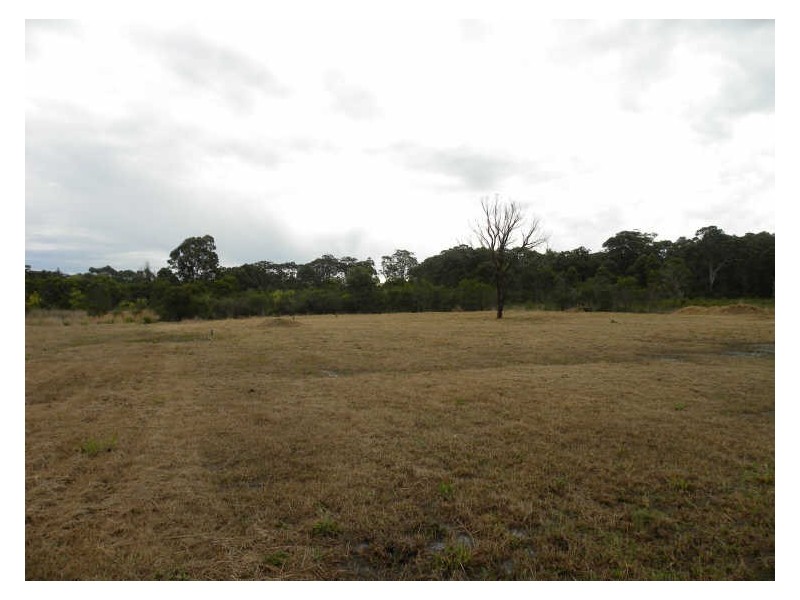 53 Jabbarup Road, Wyee NSW 2259