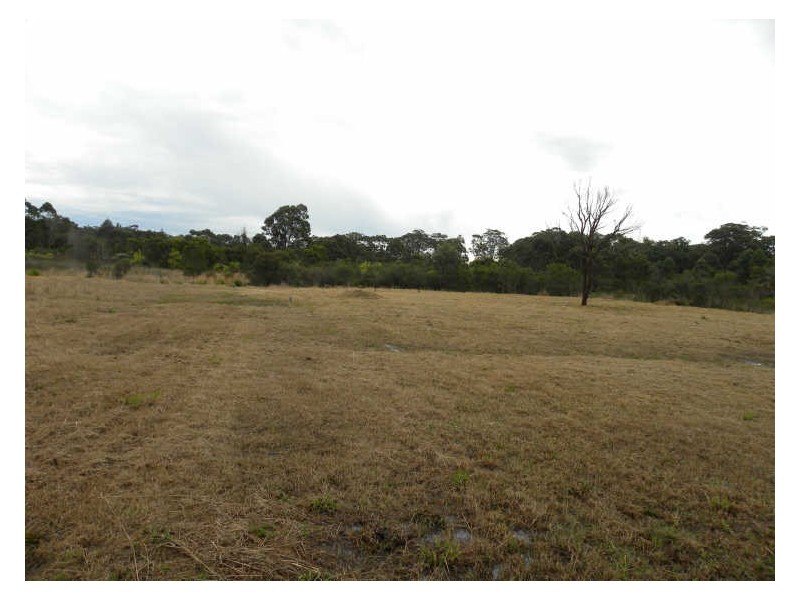 53 Jabbarup Road, Wyee NSW 2259