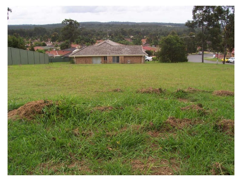 1 The Terrace, Watanobbi NSW 2259