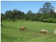 154 Pacific Highway, Kangy Angy NSW 2258