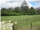154 Pacific Highway, Kangy Angy NSW 2258