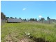 140 Brittania Drive, Watanobbi NSW 2259