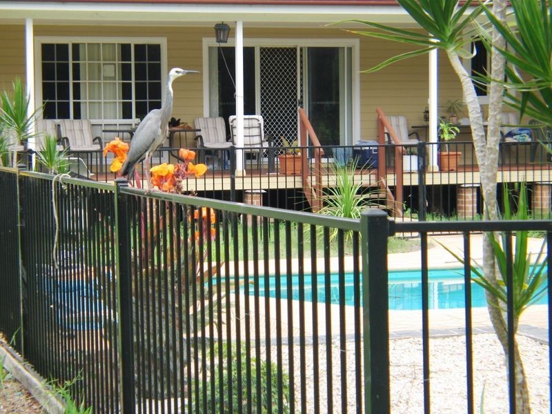 13A Warner Avenue, Tuggerawong NSW 2259