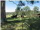Lot 41 Jilliby Road, Dooralong NSW 2259