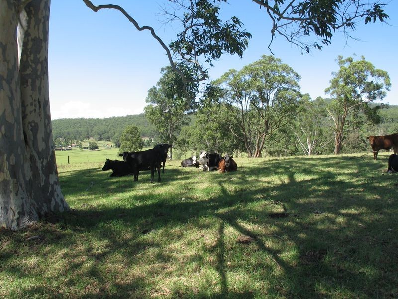 Lot 41 Jilliby Road, Dooralong NSW 2259
