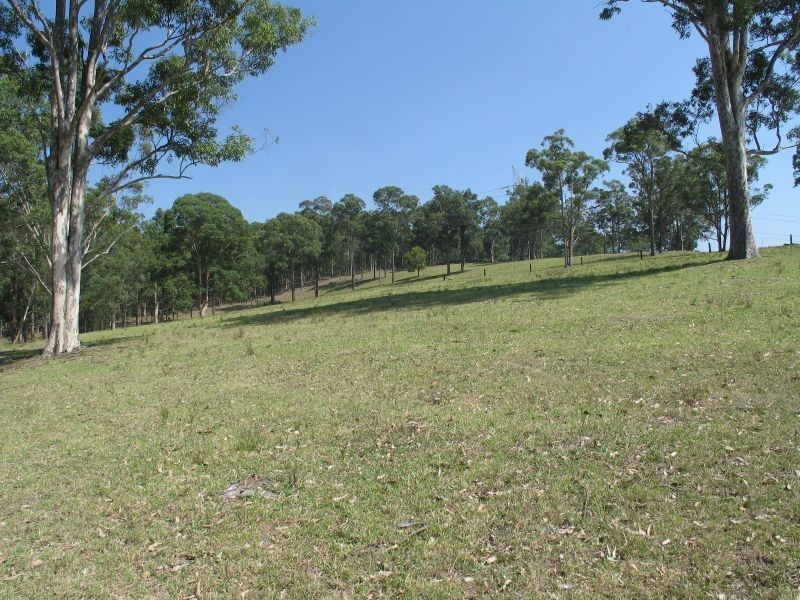 Lot 41 Jilliby Road, Dooralong NSW 2259