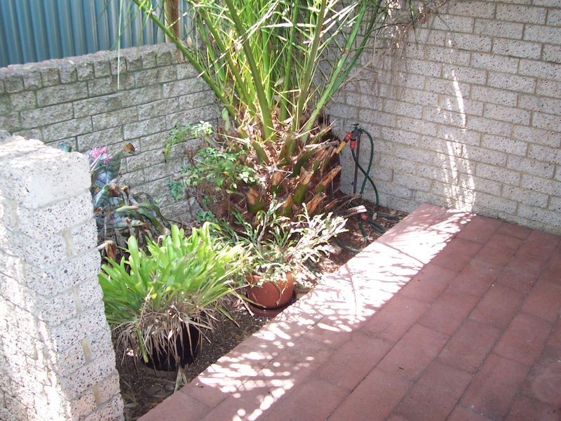 3/4 Rankens Court, Wyong NSW 2259