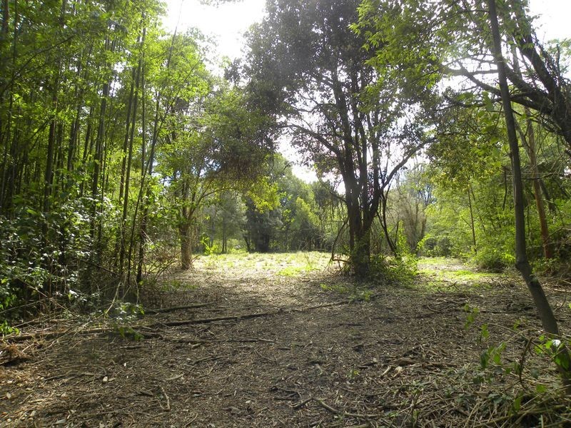 3 Fowler Road, Tuggerah NSW 2259