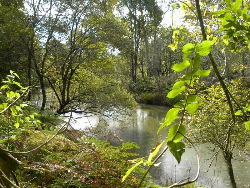 3 Fowler Road, Tuggerah NSW 2259