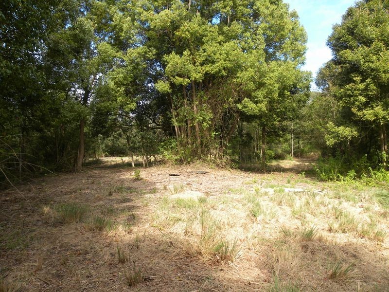 3 Fowler Road, Tuggerah NSW 2259