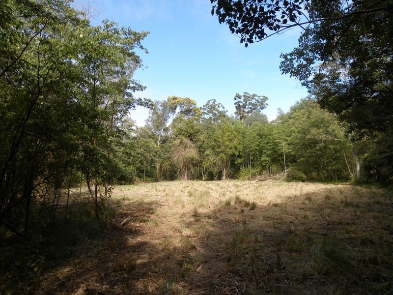 3 Fowler Road, Tuggerah NSW 2259