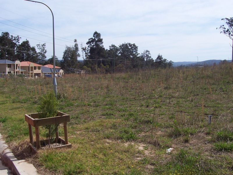12 Zelman Close, Watanobbi NSW 2259