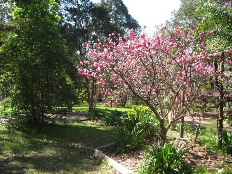 37 Treelands Drive, Jilliby NSW 2259