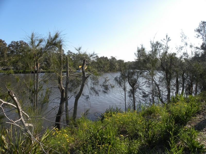 60 Wolseley Avenue, Tacoma NSW 2259