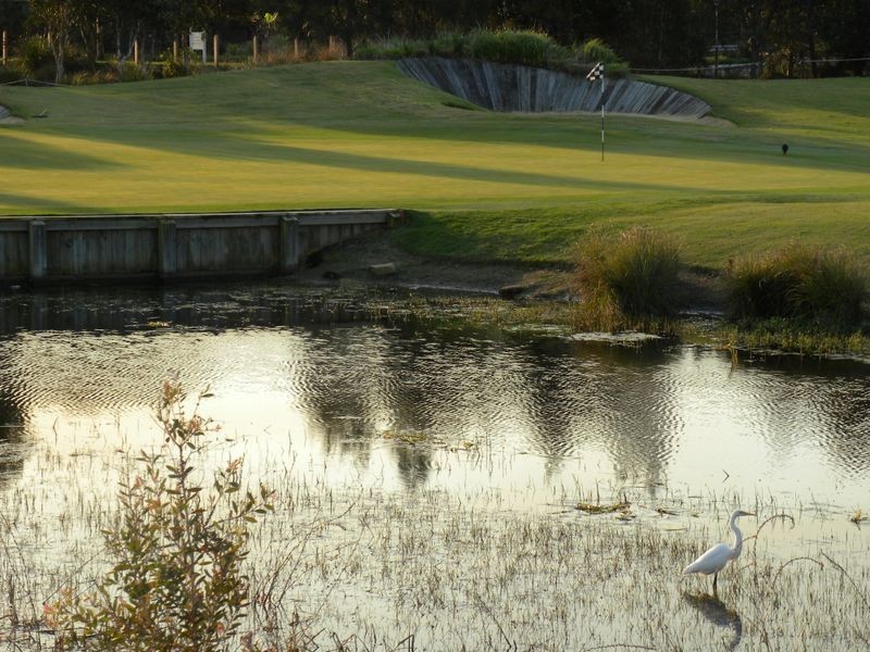 7 Gallery Circuit, Wyong NSW 2259