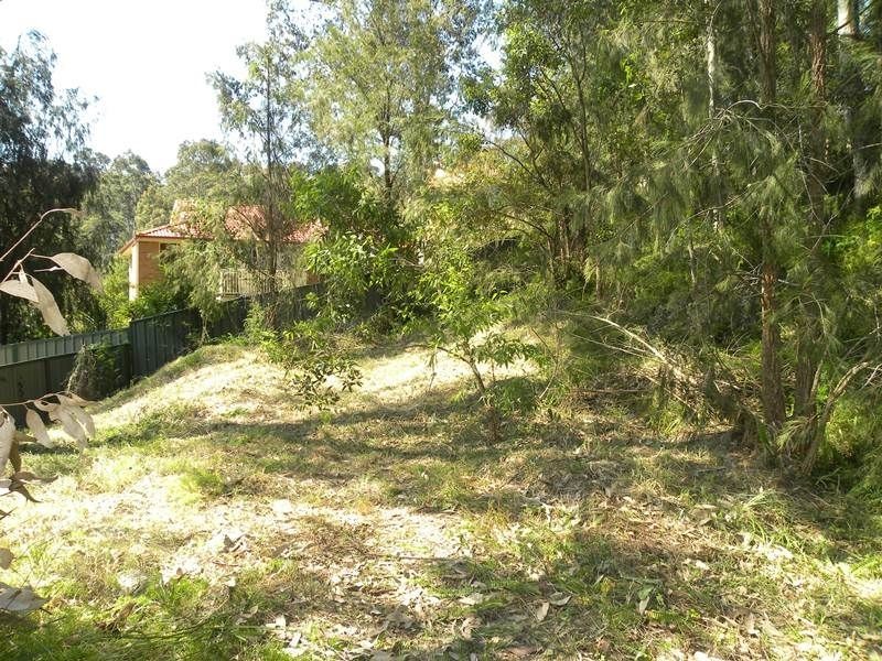 23 Hasluck Drive, Watanobbi NSW 2259