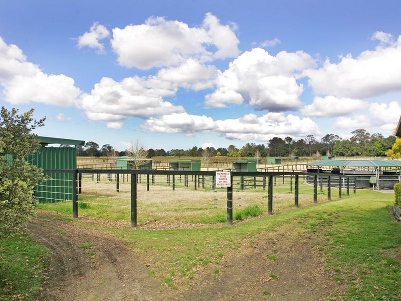 19 Davenport Lane, Jilliby NSW 2259
