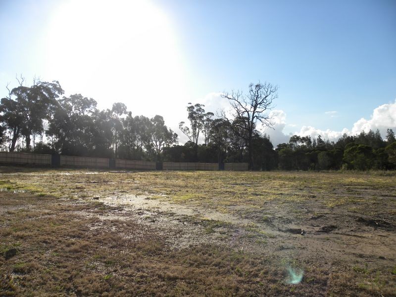 Lot 1301 Settlement Drive, Wadalba NSW 2259